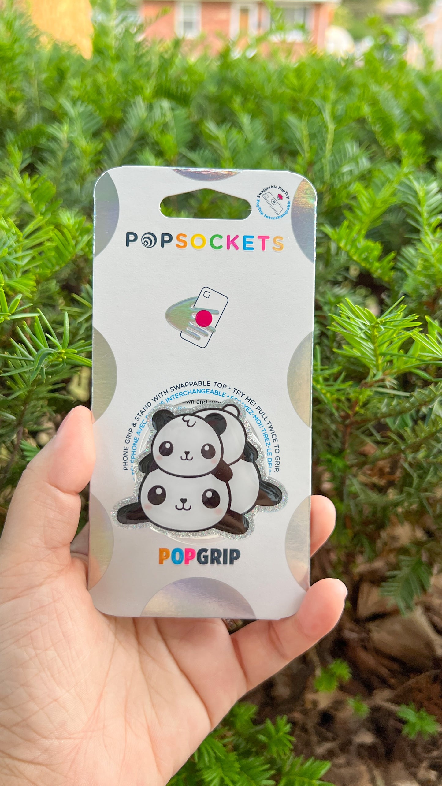 Lazy Panda pop sockets phone grip