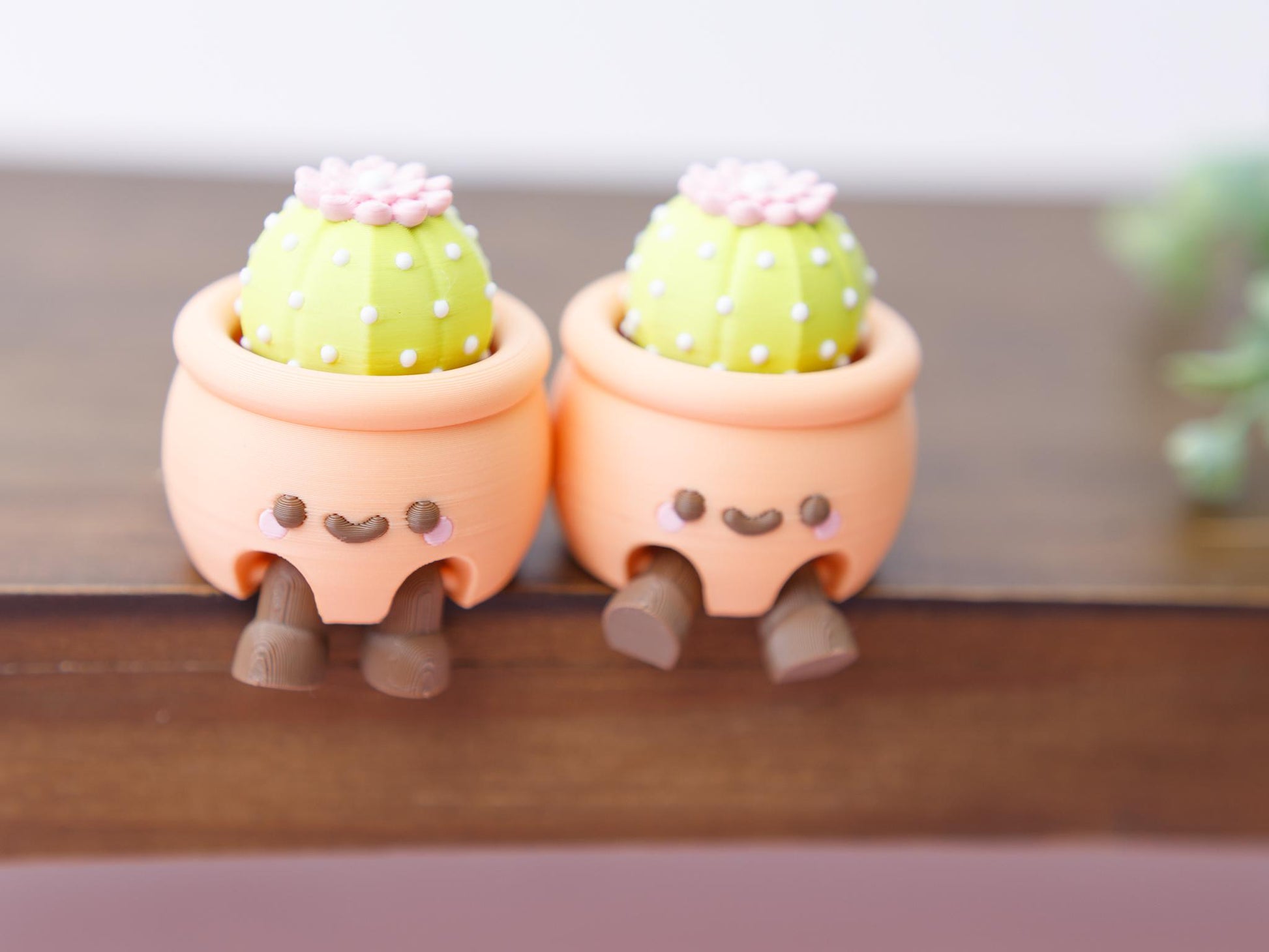 Cactus pot fidget clicker 3D printed fidget clickers