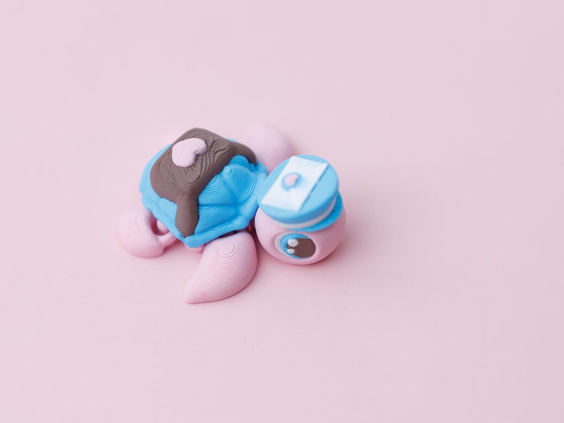 Valentine's Day fidget clicker Flexi Fidget turtle Love letter cookies fidget clicker
