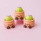 Cactus pot fidget clicker 3D printed fidget clickers