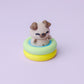 doggy pool fidget clicker